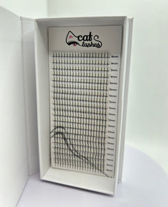 Abanicos hechos CatLashes (3D, 4D)