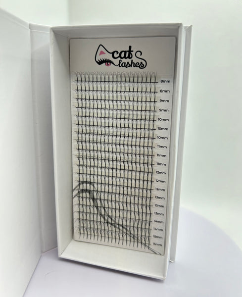 Abanicos hechos CatLashes (3D, 4D)