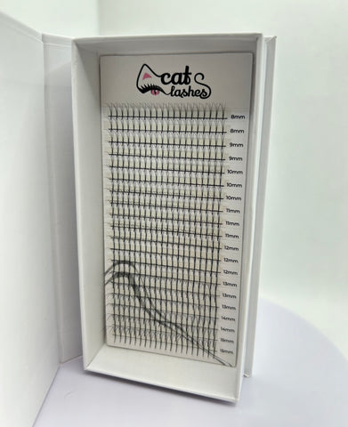 Abanicos hechos CatLashes (3D, 4D)