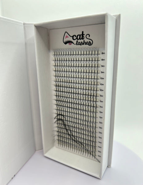 Abanicos hechos CatLashes (3D, 4D)