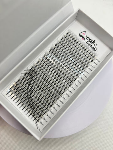 Abanicos hechos CatLashes (8D, 14D)
