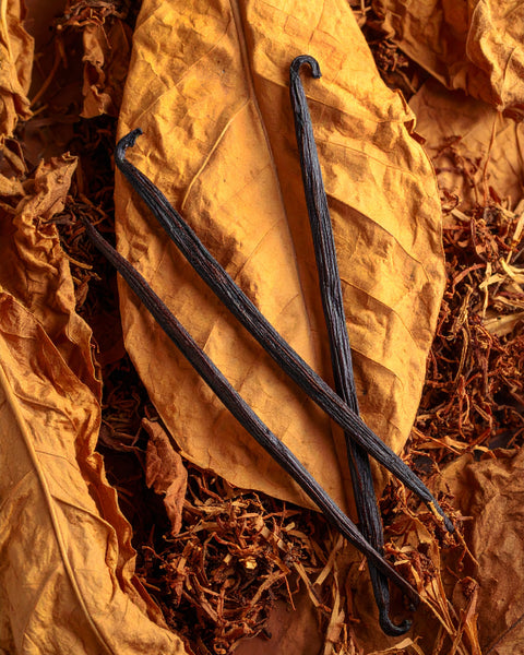 TOBACCO VANILLA - Perfume para interior
